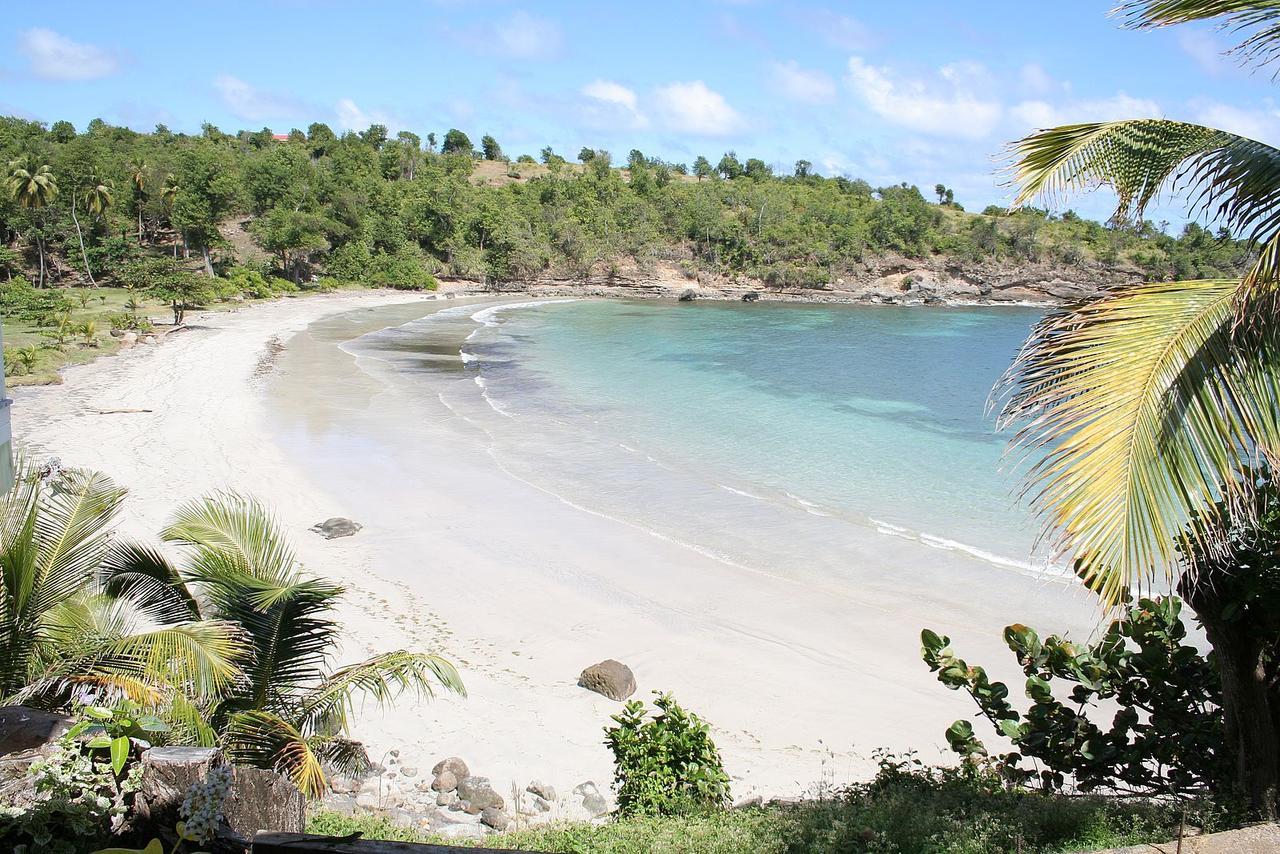 Two Bays Beach Villa, Apartment, And Studios Crochu Extérieur photo